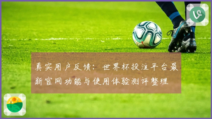 真实用户反馈：世界杯投注平台最新官网功能与使用体验测评整理