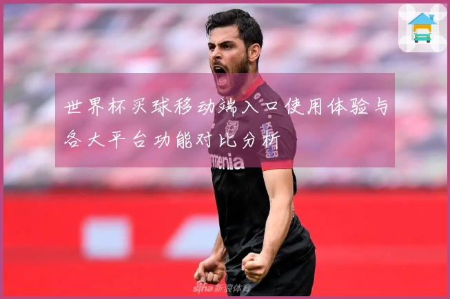 世界杯买球移动端入口使用体验与各大平台功能对比分析