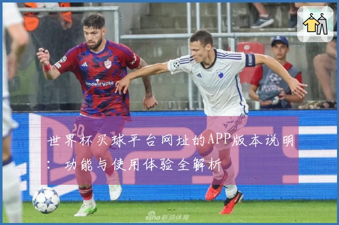 世界杯买球平台网址的APP版本说明：功能与使用体验全解析