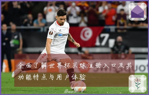 全面了解世界杯买球注册入口及其功能特点与用户体验