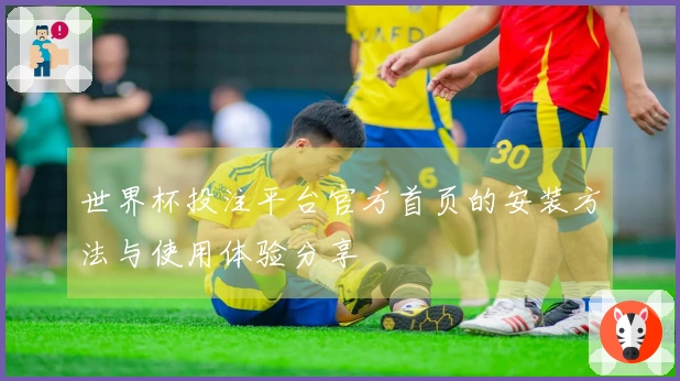 世界杯投注平台官方首页的安装方法与使用体验分享