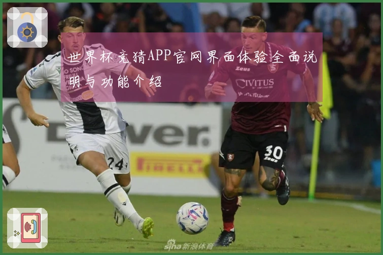 世界杯竞猜APP官网界面体验全面说明与功能介绍