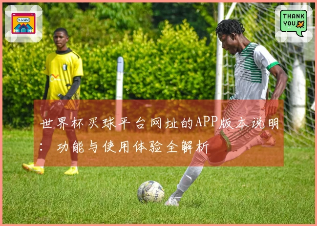 世界杯买球平台网址的APP版本说明：功能与使用体验全解析