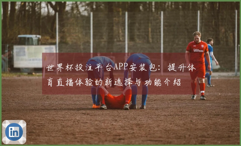 世界杯投注平台APP安装包：提升体育直播体验的新选择与功能介绍